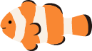 カクレクマノミの画像