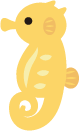 タツノオトシゴの画像